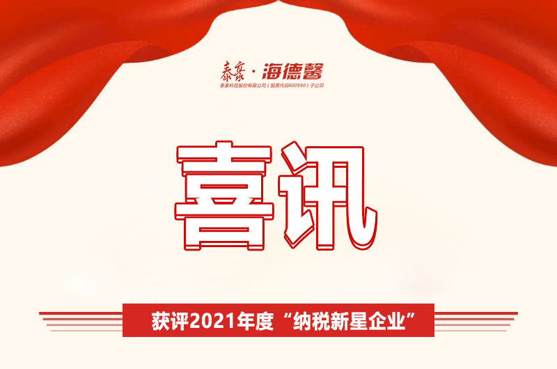 ϲѶ ��̩��&middot;welcometo��ӭ���ٱط����Ż���2021���&ldquo;��˰������ҵ&rdquo;